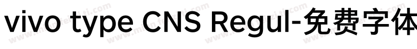 vivo type CNS Regul字体转换